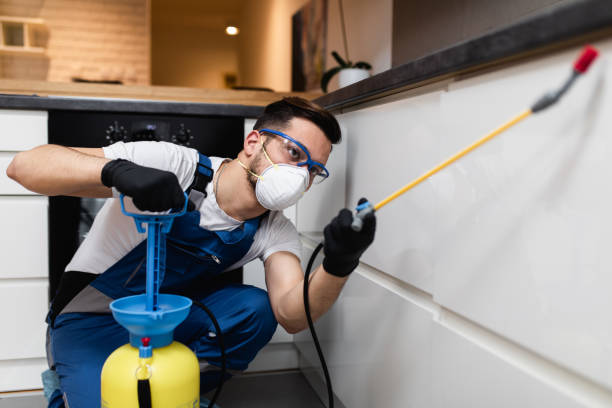 Best Best Pest Control Companies  in Prescott Valley, AZ