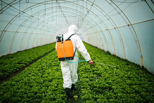 Professional Pest Control in Prescott Valley, AZ