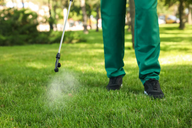 Best Pest Removal Services  in Prescott Valley, AZ