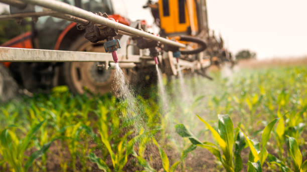 Best Mosquito Control Services  in Prescott Valley, AZ
